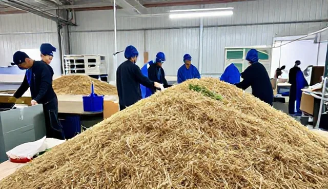 农产品收购中水分含量影响收购价格的原因分析